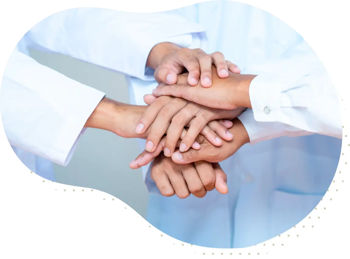 雷文虎克bn 服務流程 1 5