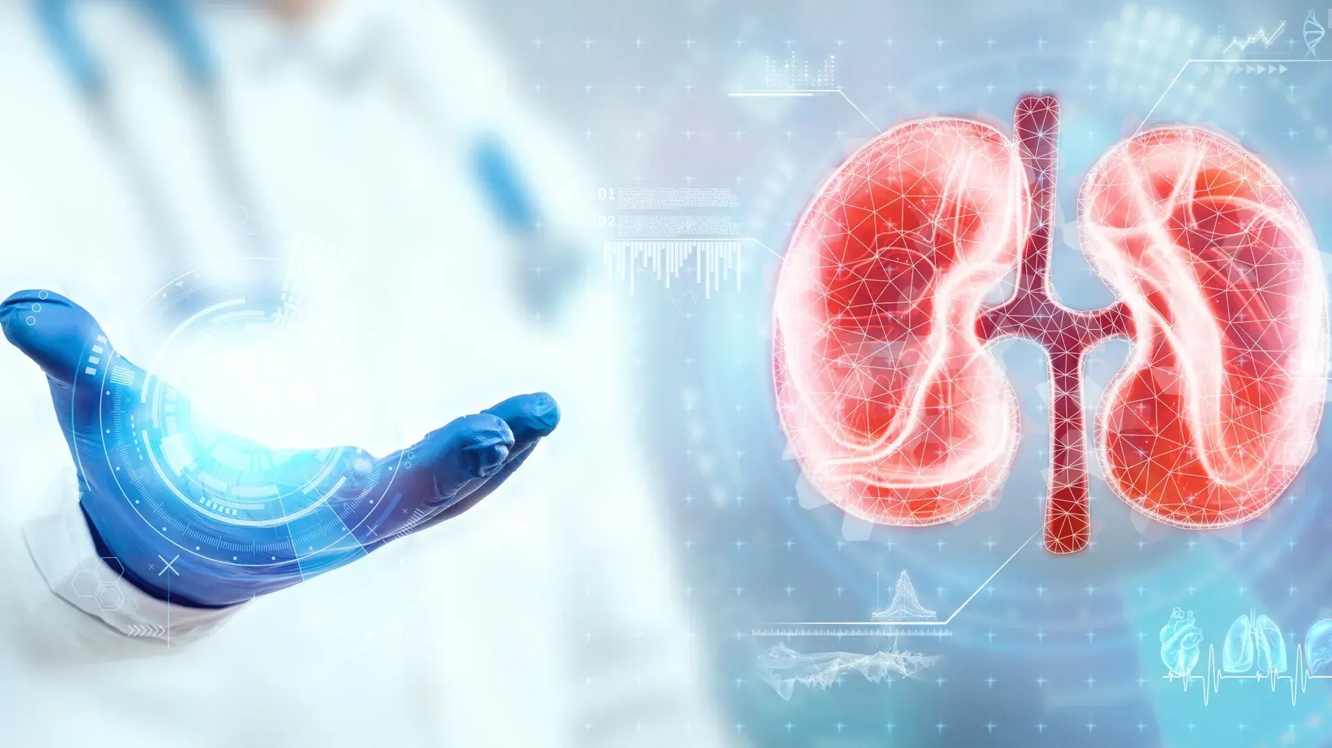 Kidney Hologram Test Result 16 9